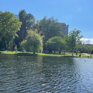 Meet your Posher, Cindy